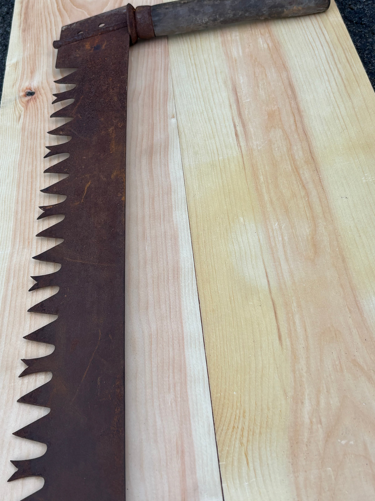 MONUMENTAL 19TH-CENTURY AMERICAN TWO-MAN LOGGING SAW Great American / Crown-Tooth Pattern