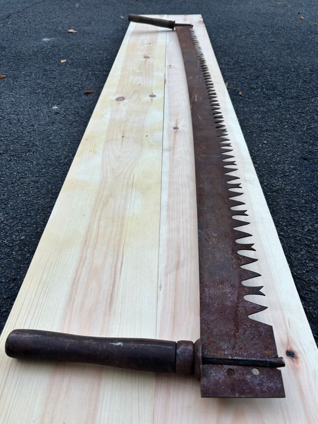 MONUMENTAL 19TH-CENTURY AMERICAN TWO-MAN LOGGING SAW Great American / Crown-Tooth Pattern