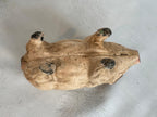 Cast Metal Pig Figure | Still Bank