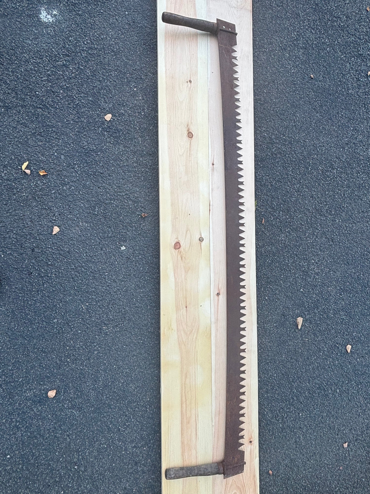 MONUMENTAL 19TH-CENTURY AMERICAN TWO-MAN LOGGING SAW Great American / Crown-Tooth Pattern