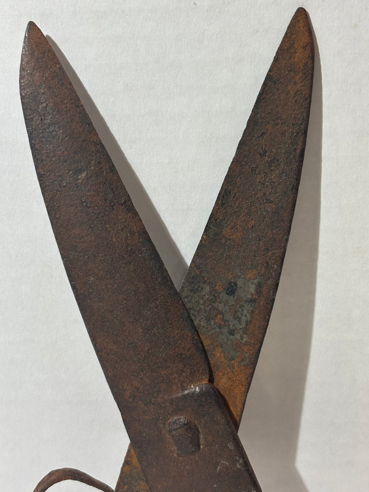 Manuel Prieto — Hand-Forged Sheep-Shearing Shears
