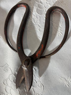 Early American Hand-Forged Iron Shears & Tongs Collection
