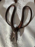 Early American Hand-Forged Iron Shears & Tongs Collection