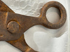 Early American Hand-Forged Iron Shears & Tongs Collection
