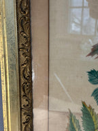 American Theorem Fruit Still Life on Velvet, Signed “C.M.C.”, Late 19th Century