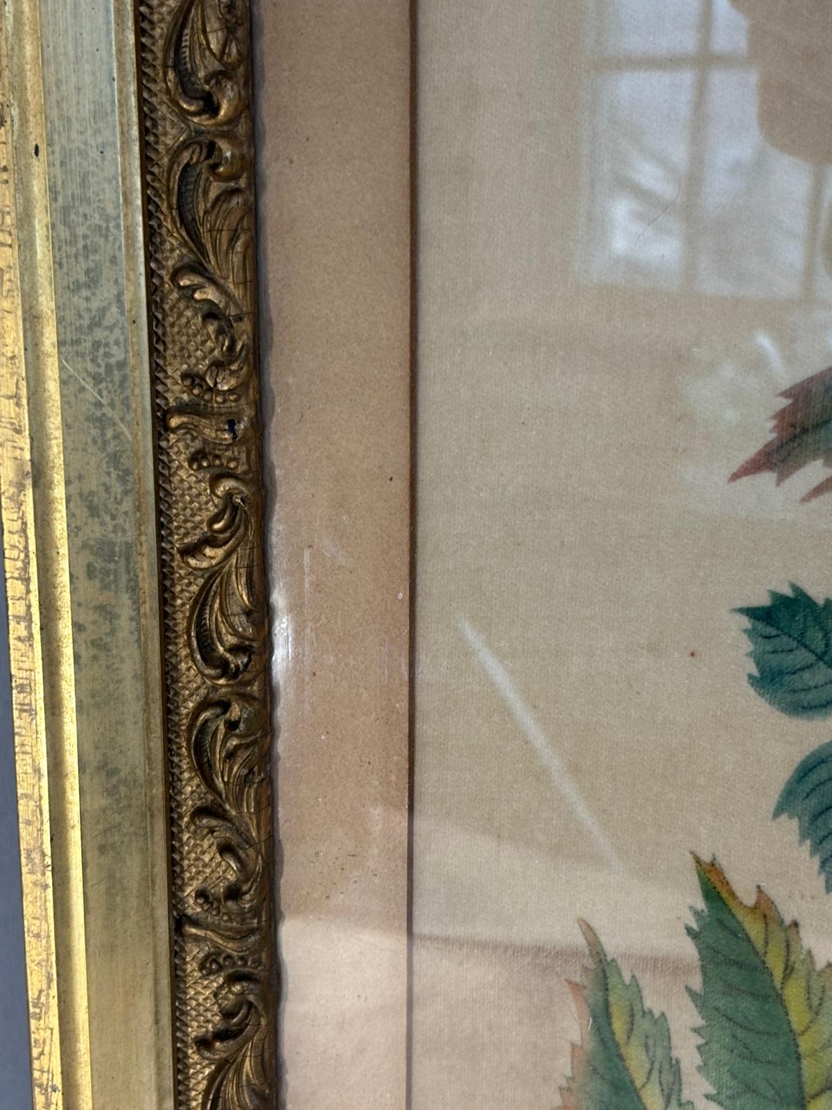 American Theorem Fruit Still Life on Velvet, Signed “C.M.C.”, Late 19th Century