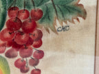 American Theorem Fruit Still Life on Velvet, Signed “C.M.C.”, Late 19th Century