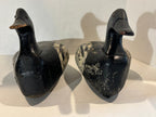 Important Pair of Early Working Merganser Decoys Circa 1910–1930.