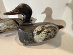 Important Pair of Early Working Merganser Decoys Circa 1910–1930.