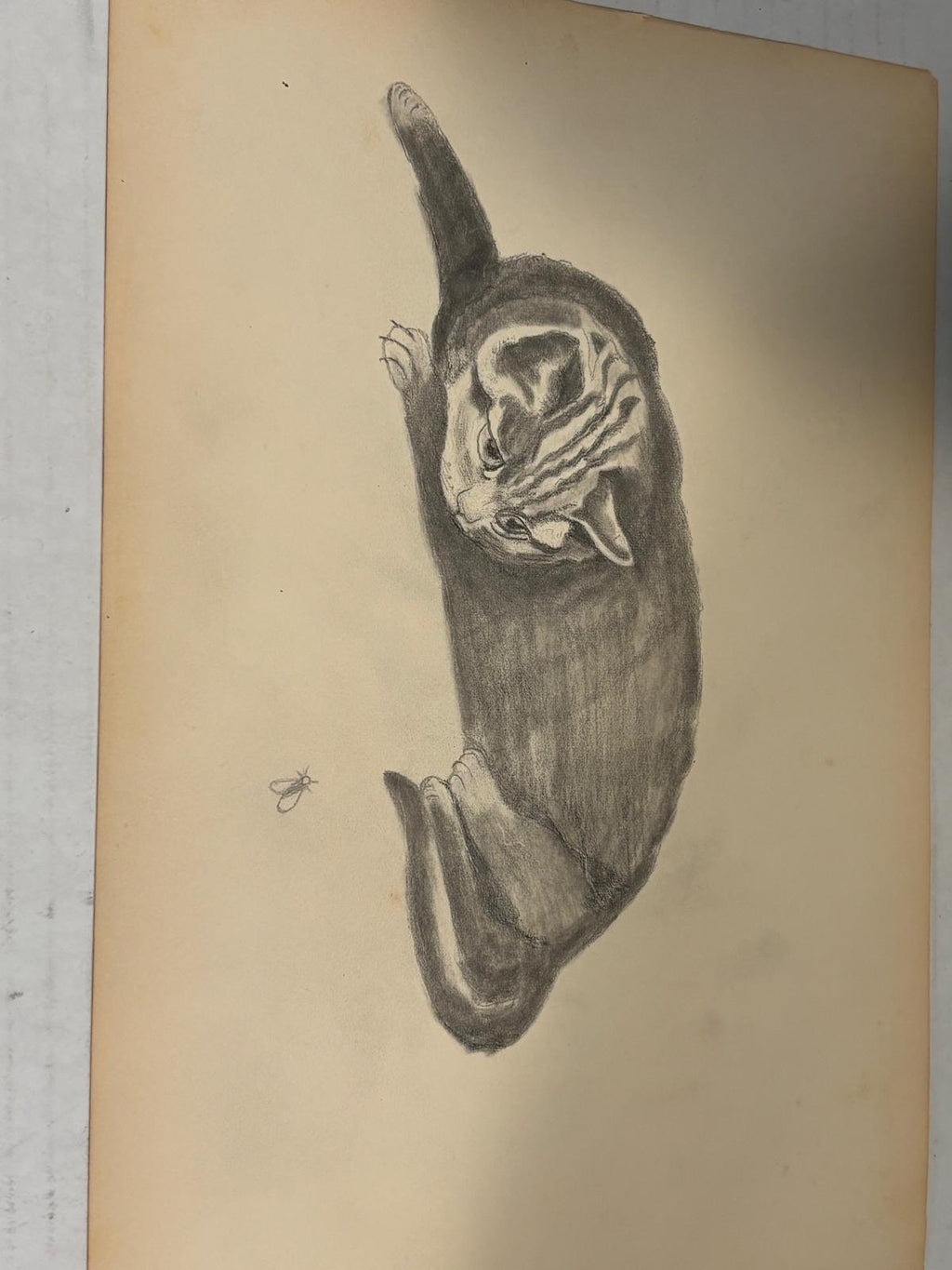 Early American Sketchbook Archive  c. 1898–1915 • 50+ Original Drawings & Studies