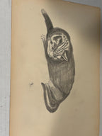 Early American Sketchbook Archive  c. 1898–1915 • 50+ Original Drawings & Studies