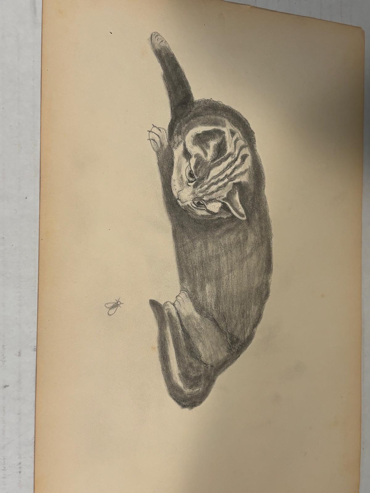 Early American Sketchbook Archive  c. 1898–1915 • 50+ Original Drawings & Studies