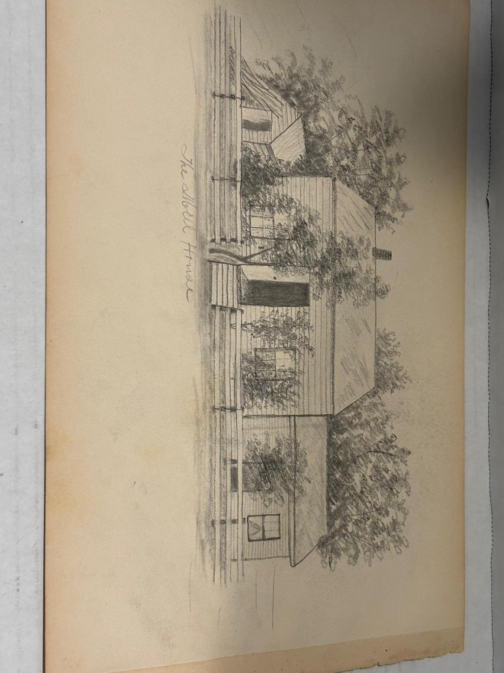 Early American Sketchbook Archive  c. 1898–1915 • 50+ Original Drawings & Studies