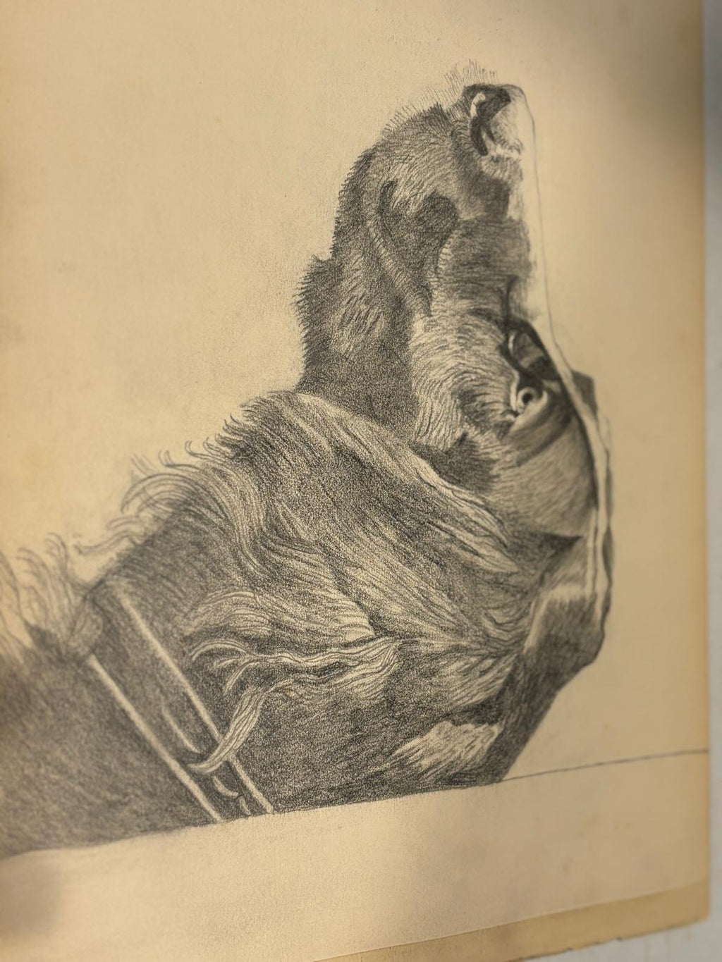 Early American Sketchbook Archive  c. 1898–1915 • 50+ Original Drawings & Studies