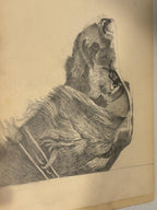 Early American Sketchbook Archive  c. 1898–1915 • 50+ Original Drawings & Studies