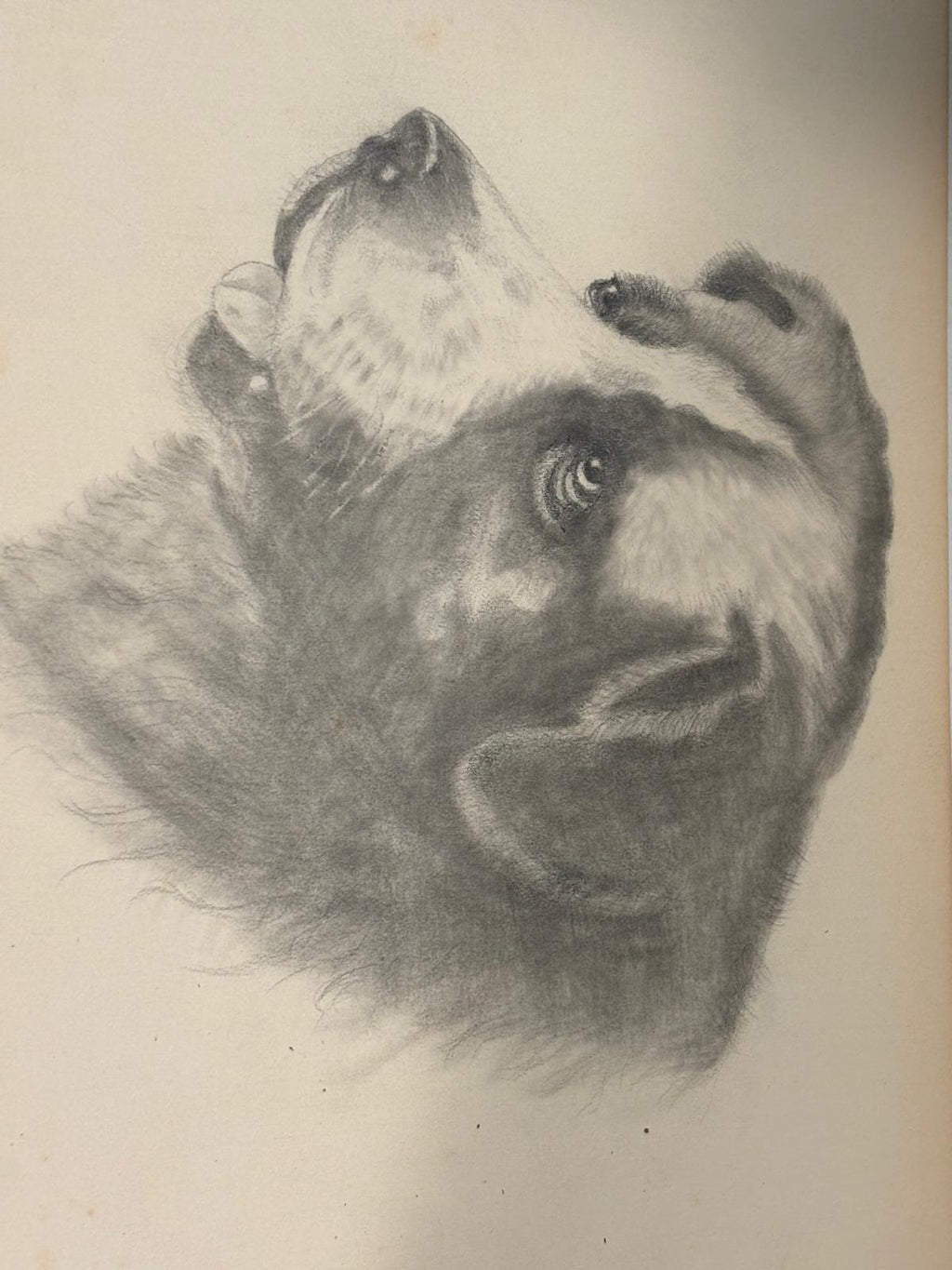 Early American Sketchbook Archive  c. 1898–1915 • 50+ Original Drawings & Studies
