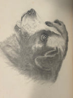 Early American Sketchbook Archive  c. 1898–1915 • 50+ Original Drawings & Studies