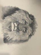Early American Sketchbook Archive  c. 1898–1915 • 50+ Original Drawings & Studies