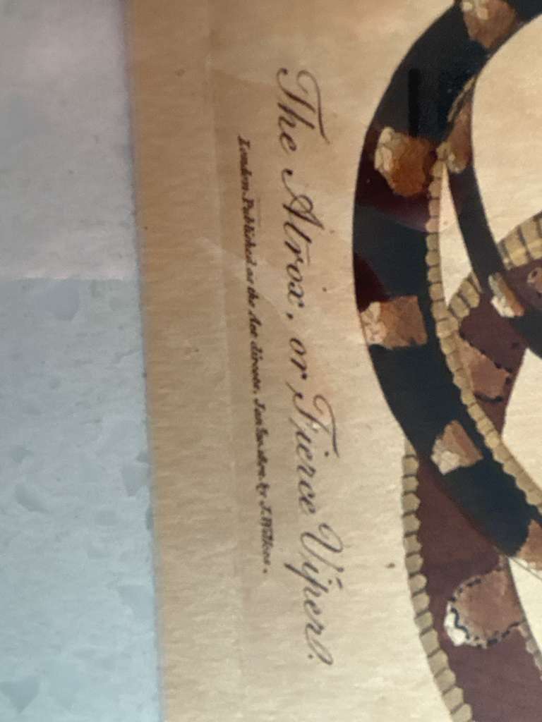 Set of Four Early Hand-Colored Serpent Engravings from Shaw’s General Zoology