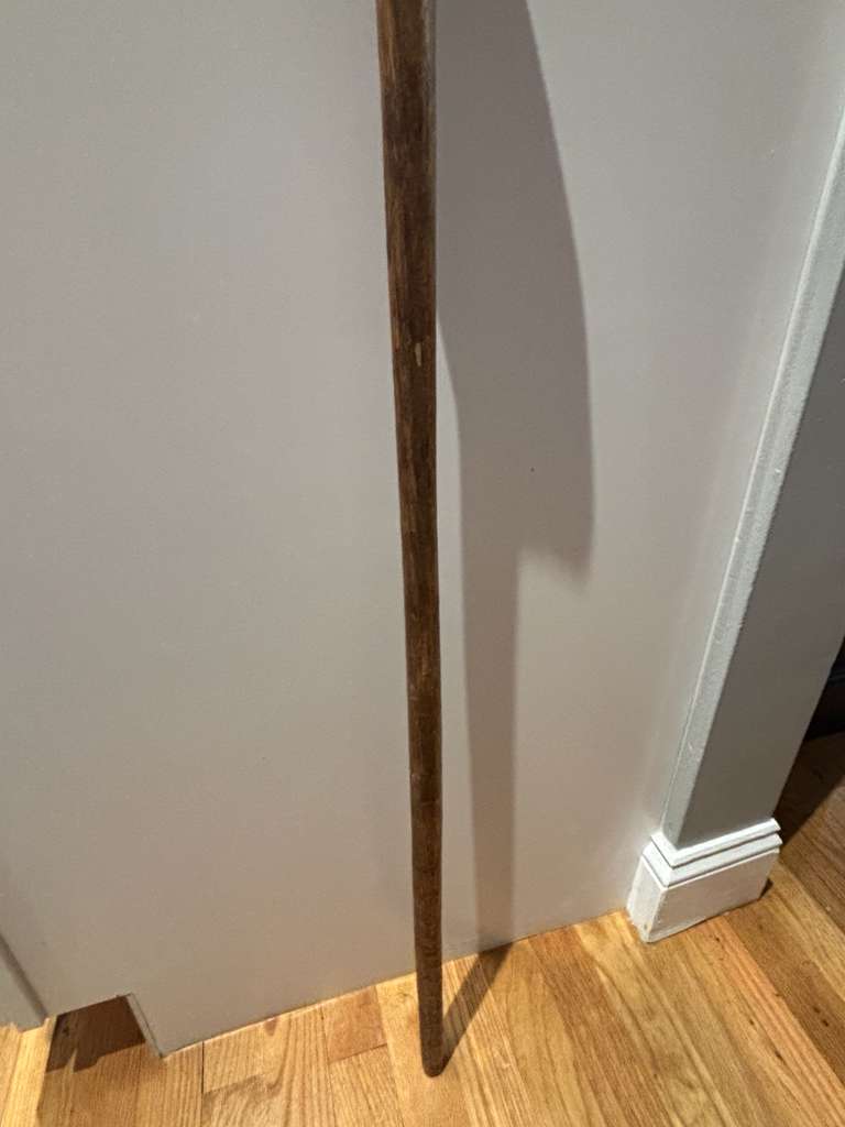 Carved Turtle Walking Stick with Mushroom Mark  American Folk Art, Mid-20th Century