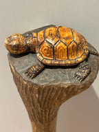 Carved Turtle Walking Stick with Mushroom Mark  American Folk Art, Mid-20th Century