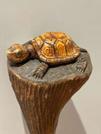 Carved Turtle Walking Stick with Mushroom Mark  American Folk Art, Mid-20th Century