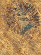 Dated American Folk Art Carved Treenware Nut Bowl, 1902
