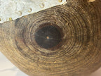 Hand-Carved Burlwood Utility Bowl with Rawhide and Tin Repairs Possibly Native American or Northeastern North American Folk Art, 19th Century
