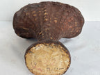 American Polychrome Chalkware Fruit Compote Circa 1900–1915